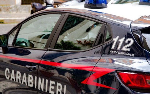 Pelle di tigre lasciata davanti al museo di Camerino