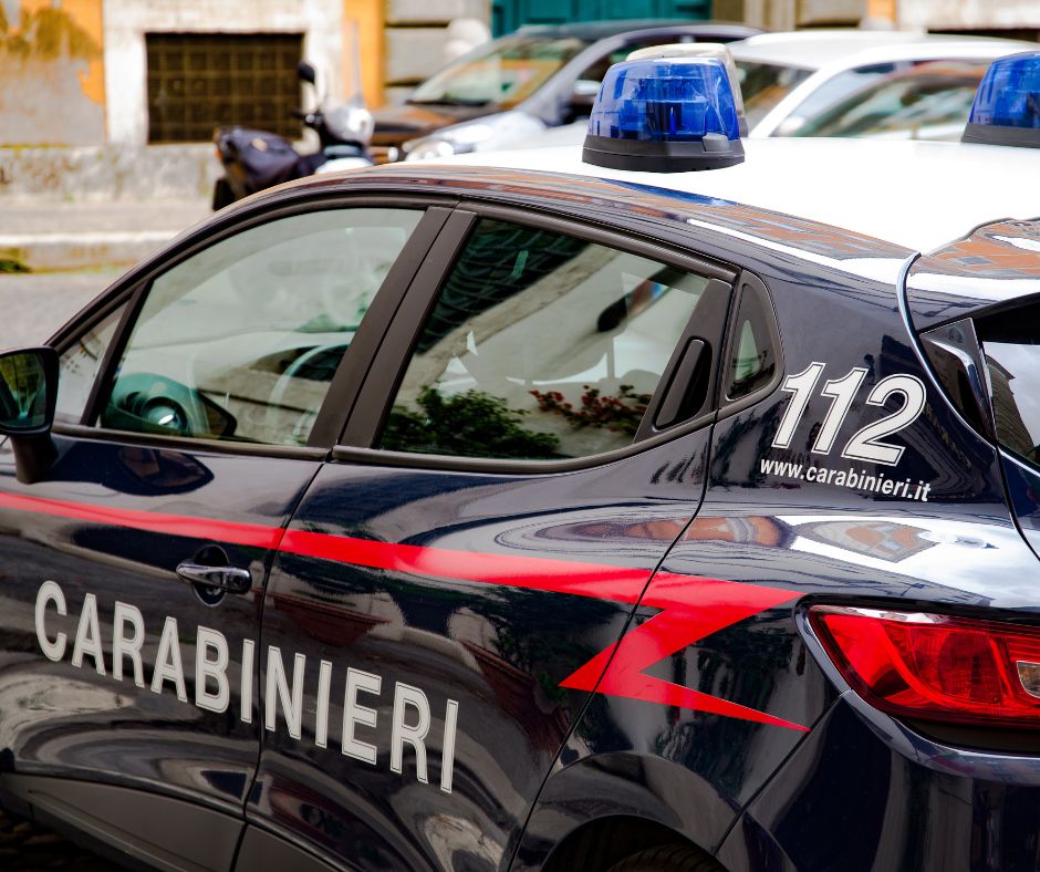 Pelle di tigre lasciata davanti al museo di Camerino