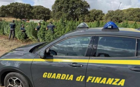 A Civitanova, 13 lavoratori irregolari e 2,2 chili di droga