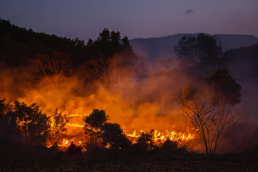 Incendio nel bosco a Caldarola, in volo un Erickson S64
